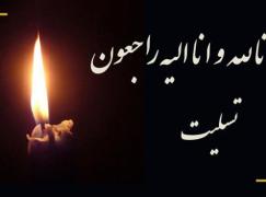 پیام تسلیت روابط عمومی سازمان نصر کشور به دکتر حکیم جوادی